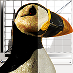 Fotografie - foto's lichter maken